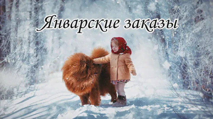 Одежда больших размеров// Джемпера и блузки